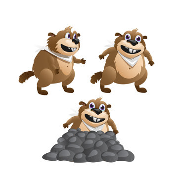 Three images of the beaver in various poses 