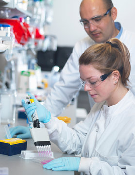 Scientist using multi-channel pipette to fill multiwell plate for analysis of antibodies by ELISA assay, Jenner Institute, Oxford University