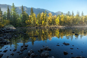 Reflection of trees in the river Zhombolok