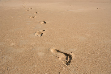 sand beach and footprint