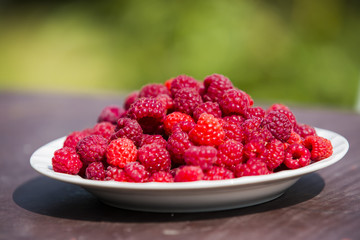 lots of ripe red raspberries on a plate