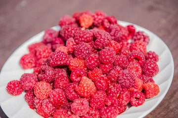 lots of ripe red raspberries on a plate