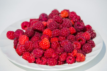 lots of ripe red raspberries on a plate
