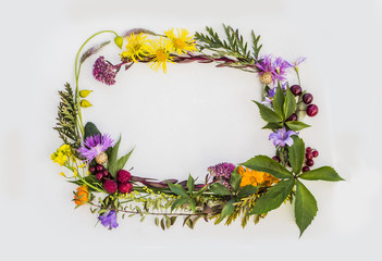 frame of flowers and plants