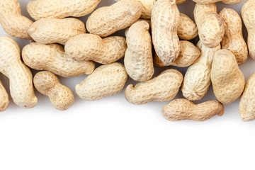 groundnut in the skin close-up