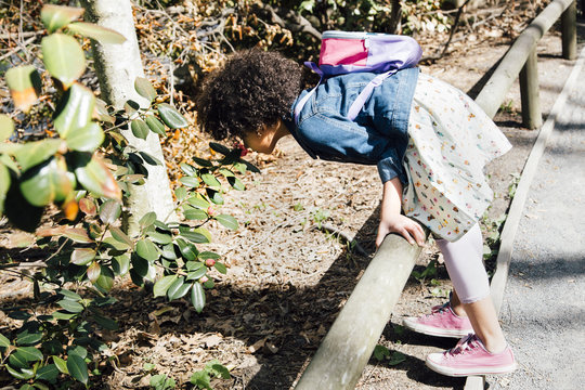 Side view of girl leaning forward over fence to smell flowers