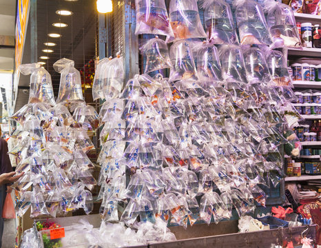 Fish for sale, fish market, Mong Kok, Hong Kong, China