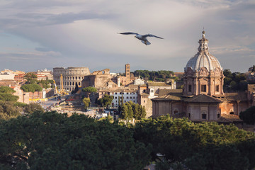 Fototapeta na wymiar View of the historical center of Rome and of the Colosseum, on a sunny spring day. Flying seagull out of focus