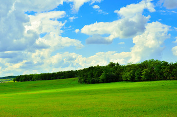 Beautiful landscape. Blue sky with clouds and green meadows with forest belts
