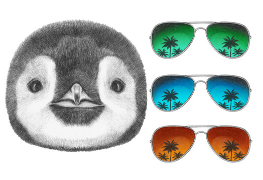 Portrait of Penguin with mirror sunglasses. Hand drawn illustration.