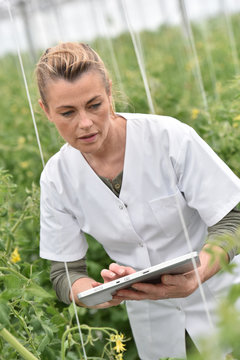 Agronomist analysing plants in greenhouse
