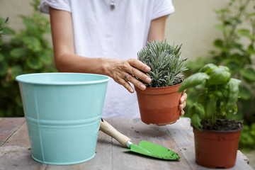 Cropped mid section of woman potting plants