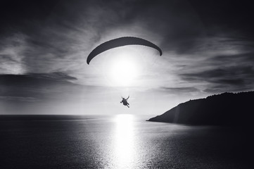 Sky diver flies at sunset over the bay. Black and white photo. Phuket island, Thailand