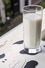 One glass of milk on the white cow-mat on the windowsill