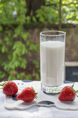 Glass of fresh milk with strawberries on the cow-mat and green tree as background