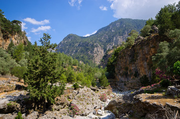 Fototapeta na wymiar Samaria Gorge, Crete, Greece