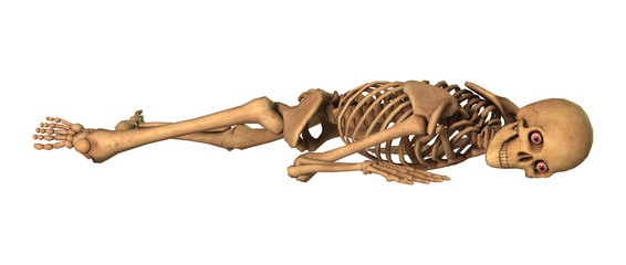 3D Rendering Human Skeleton on White