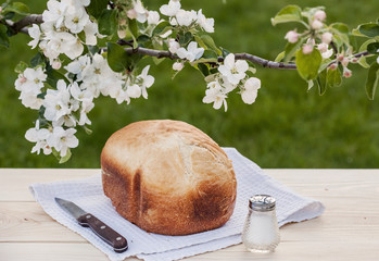 Bread on the table against the background of a blossoming Apple