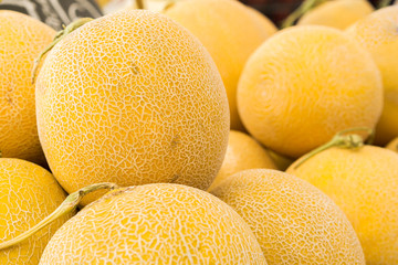 Melons in the market in Greece, a lot of melons. large yellow fruit
