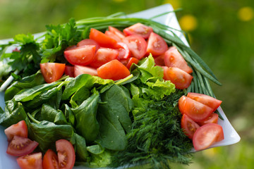 variation of vegetables