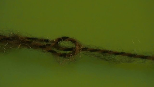 Unknitted Green Yarn Chain on Green Screen Colorful Filament Fiber Clue Funiculus Threads of Wool is Moving Someone is Pulling the Thread's Ends