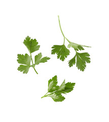 Parsley