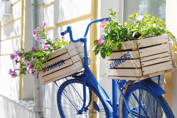Obrazy na Szkle  stary rower z pudełkiem na kwiaty