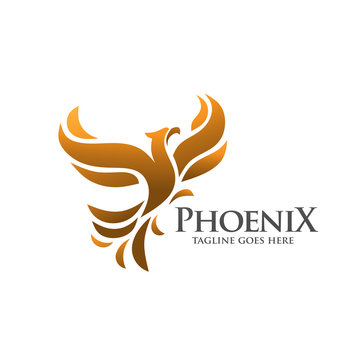 elegant and phoenix logo concept