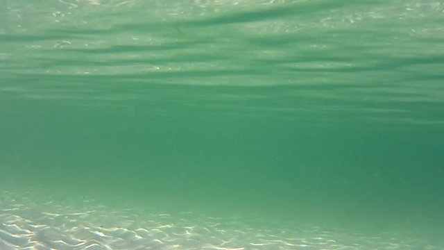 Unterwasseraufnahme im seichten Wasser der Ostsee
