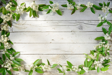 cornice fiori bianchi