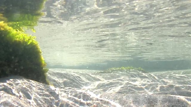 Unterwasseraufnahme im seichten Wasser der Ostsee
