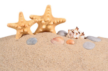 Fototapeta na wymiar Starfishs and seashells in a beach sand on a white