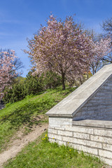 Springtime In Medieval Town
