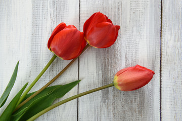 Row of tulips on wooden background