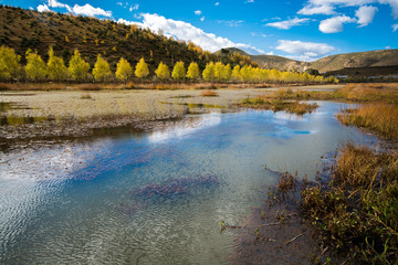 The lake view