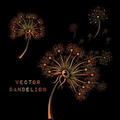 Hand draw dandelion. African / indian / floral / tattoo design. It may be used for design of a t-shirt, bag, postcard and poster.