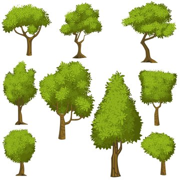 Set of funny cartoon trees and green bushes. Vector illustration