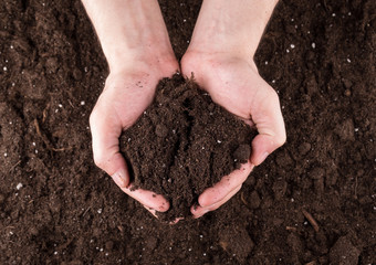 Soil in hands