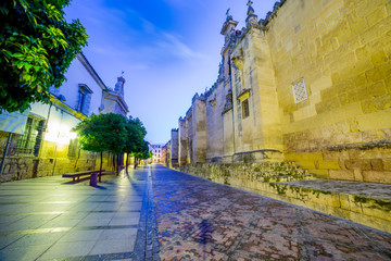 Empty street among the castle architecture, Cordoba - Andalusia
