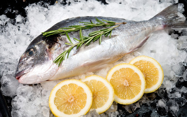 Fresh crude fish with a lemon for preparation 
