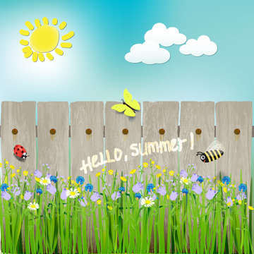 summer. sun, bee, ladybug, butterfly. hello summer.vector illustration