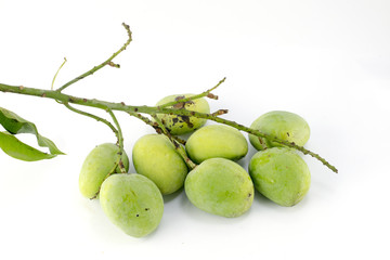 Fresh Mango , Green Mango isolated on white background