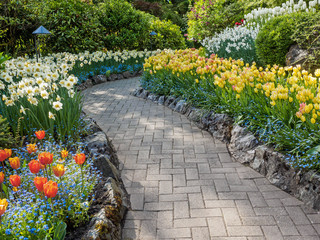 Paved walkway in the spring garden