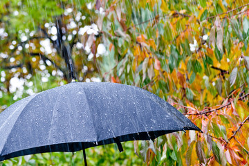 detail of black umbrella in the rain
