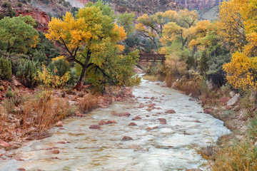 Obraz premium Virgin River Fall Landscape