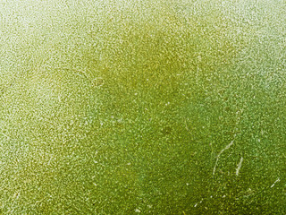 wall of mold texture background