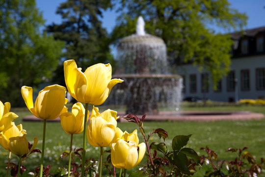 Park von Schloss Philippsruhe