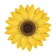  Sunflower 
