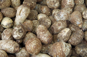 Root vegetable at street market