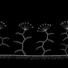 Tansy flowers border black and white